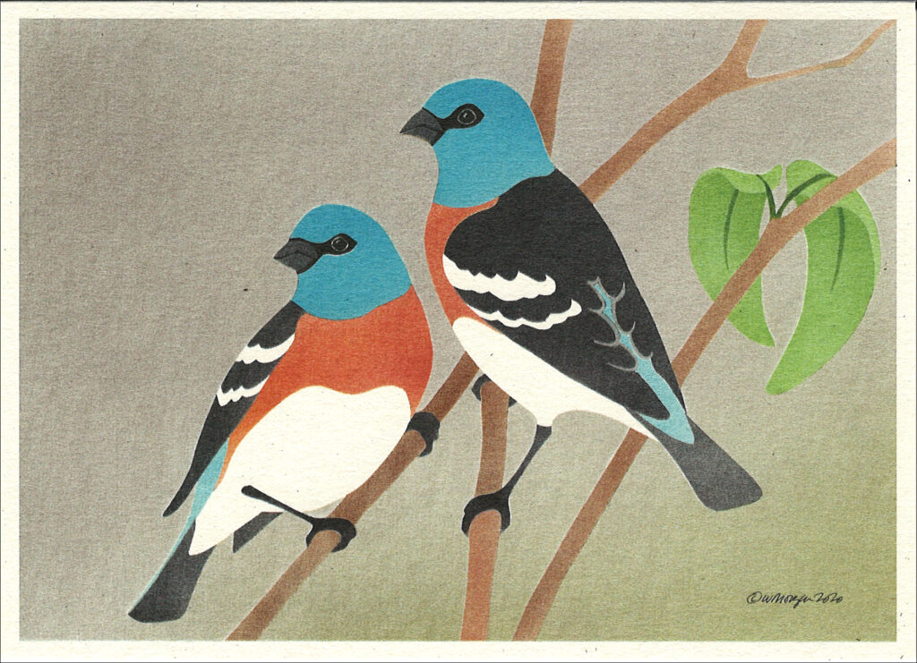 NC1007 Lazuli Buntings