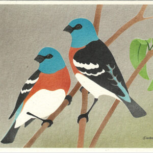 NC1007 Lazuli Buntings