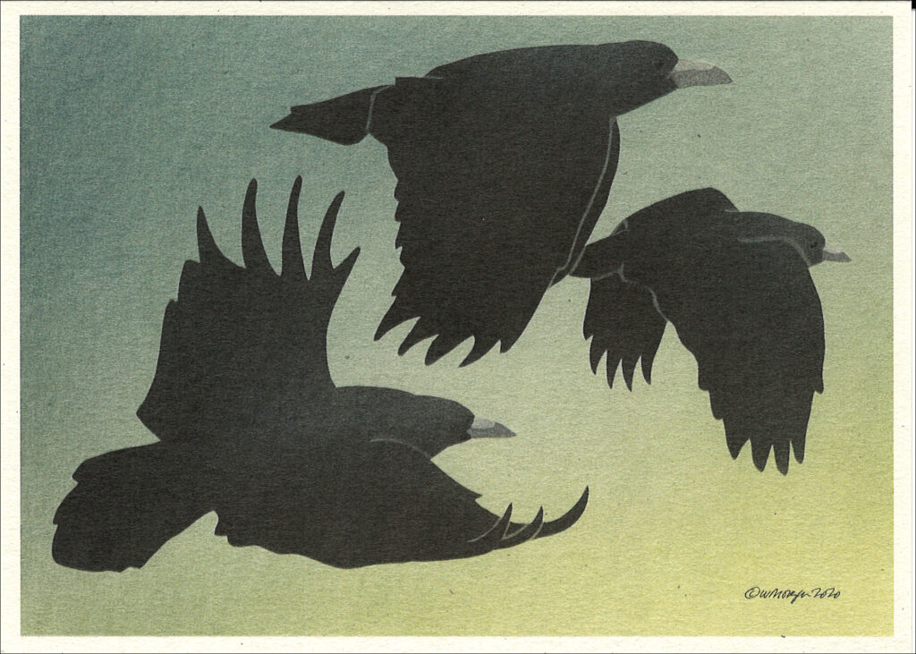 NC1010 Flying Ravens