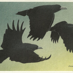 NC1010 Flying Ravens