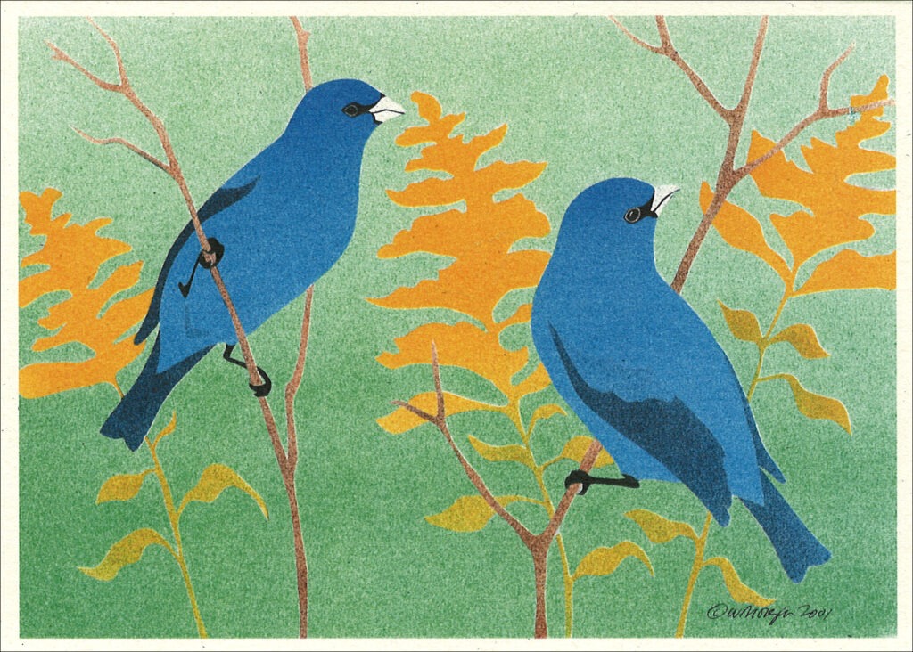 Indigo Buntings