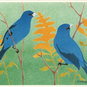 Indigo Buntings