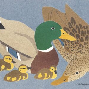 NC110 Mallards Notecard