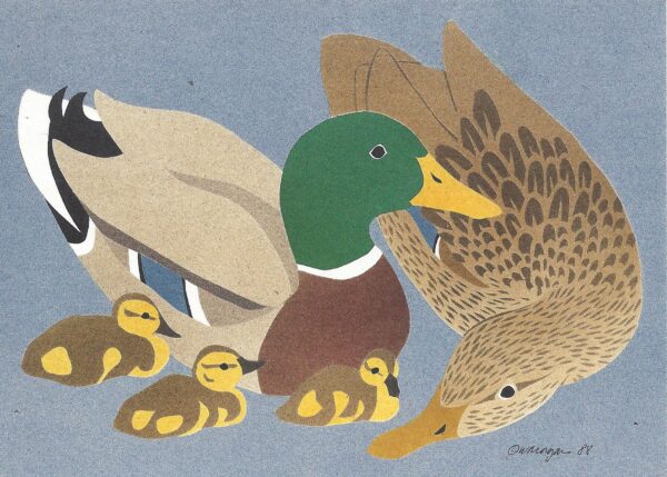 NC110 Mallards Notecard