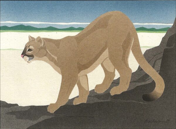NC113 Mountain Lion Notecard