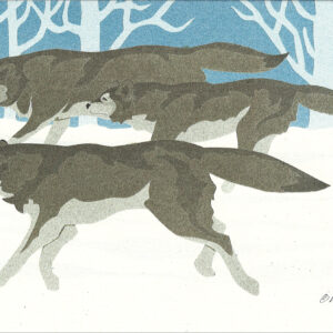 NC114 Wolves Notecard