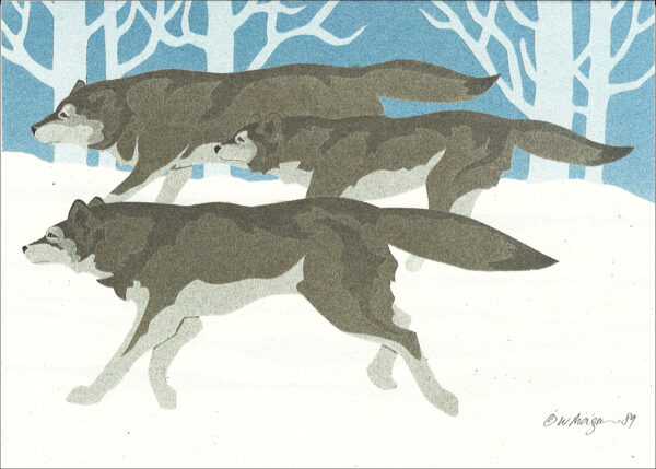 NC114 Wolves Notecard
