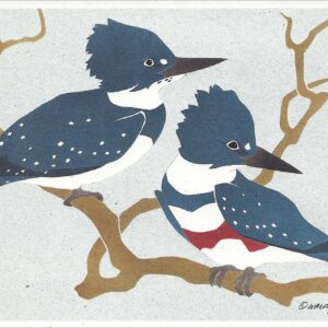 NC123 Belted Kingfishers Notecard