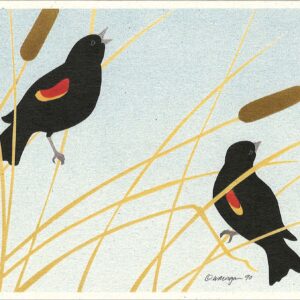 NC124 Red-Winged Blackbirds Notecard Temporarily Out of Stock