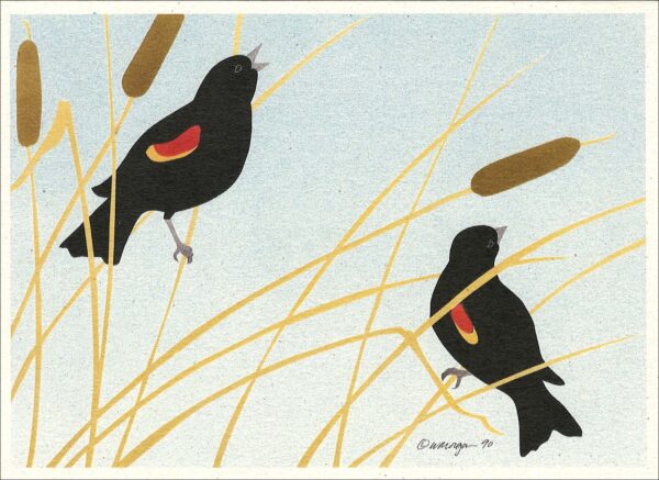NC124 Red-Winged Blackbirds Notecard Temporarily Out of Stock