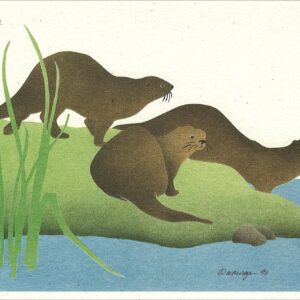 NC128 River Otters Notecard
