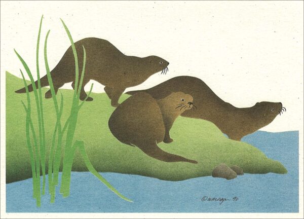 NC128 River Otters Notecard