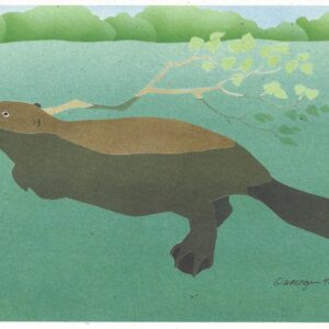 NC129 Beaver Notecard