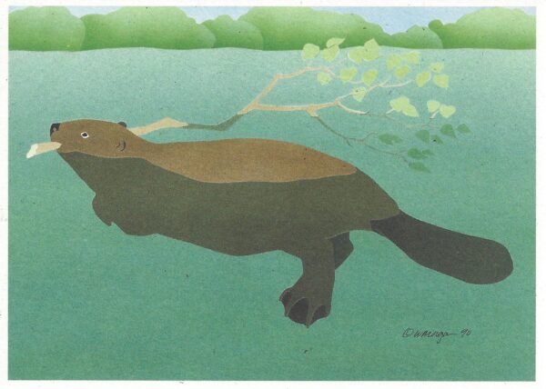 NC129 Beaver Notecard