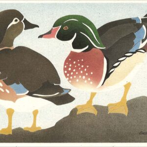NC130 Wood Ducks Notecard