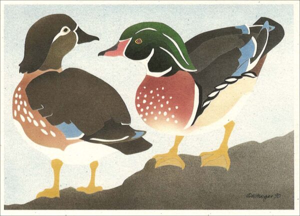 NC130 Wood Ducks Notecard