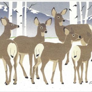 NC146 Mule Deer Notecard