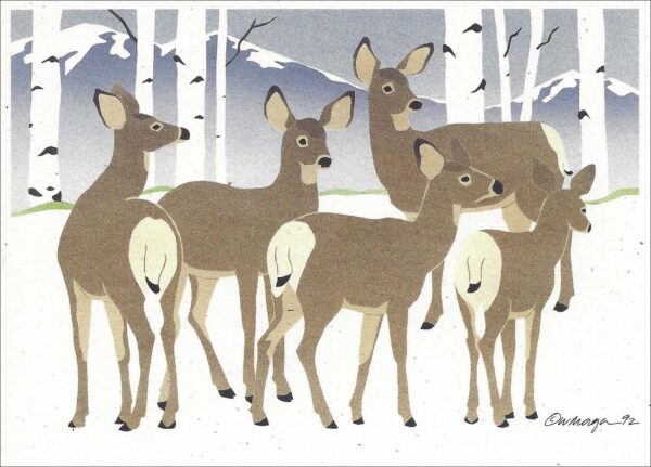 NC146 Mule Deer Notecard