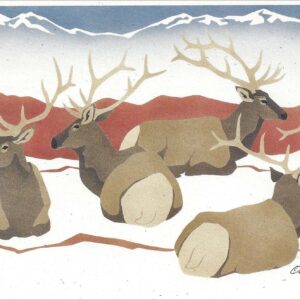 NC147 Bull Elk Notecard