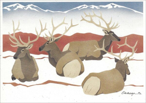 NC147 Bull Elk Notecard