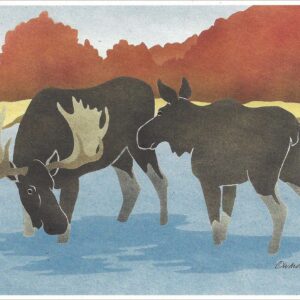 NC153 Moose Notecard