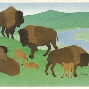 NC154 Bison Notecard