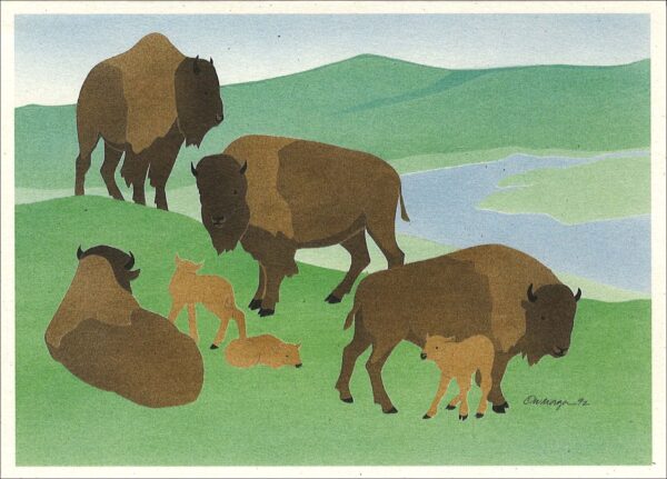 NC154 Bison Notecard