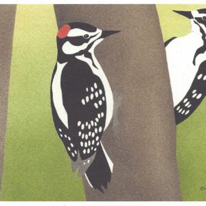 Hairy Woodpeckers