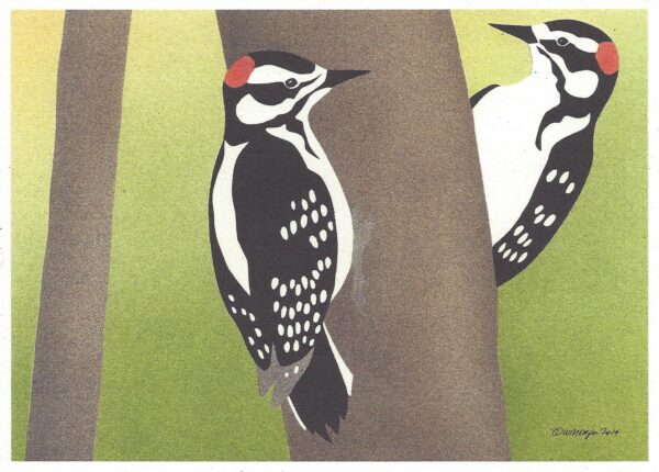 Hairy Woodpeckers
