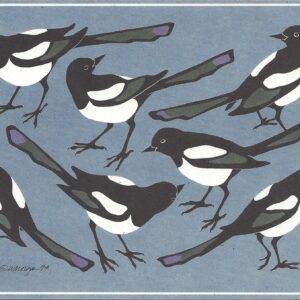 Black-billed Magpies