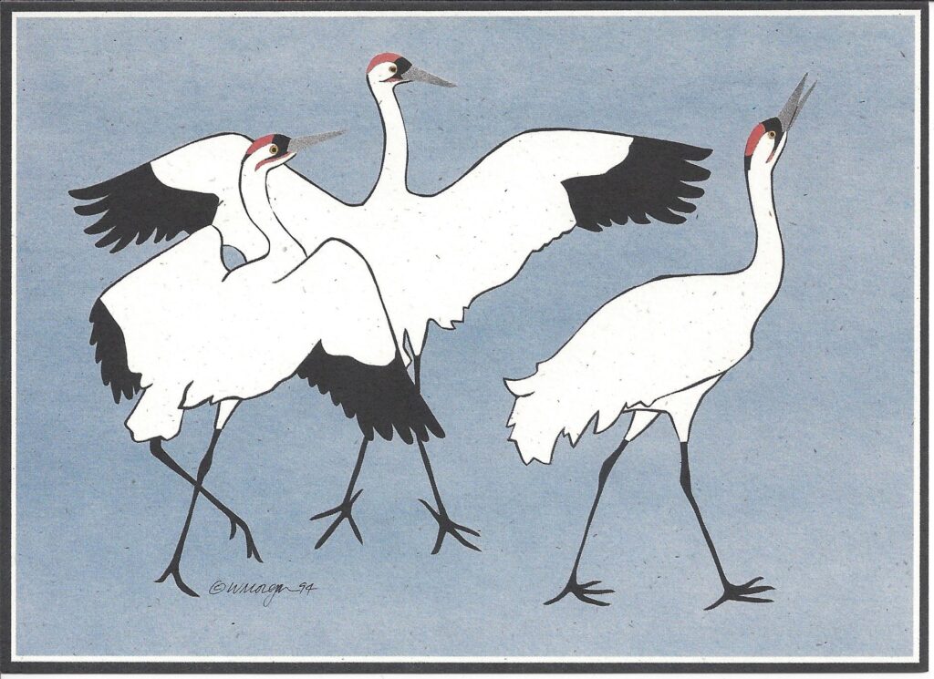 Whooping Cranes