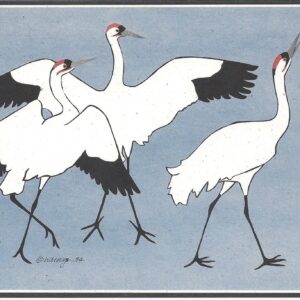 Whooping Cranes