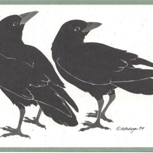 Ravens