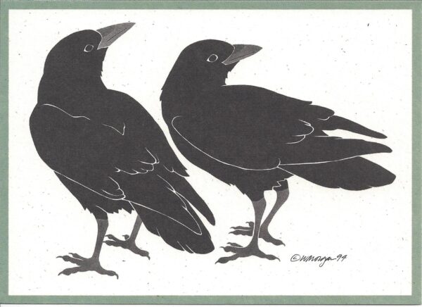 Ravens