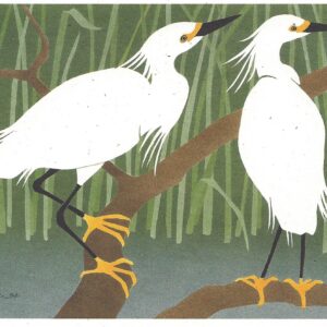 Snowy Egrets