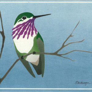 Calliope Hummingbird