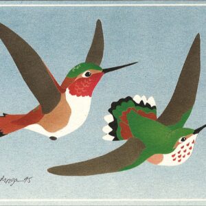 Rufous Hummingbirds