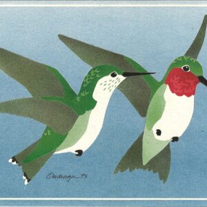 Ruby-Throated Hummers