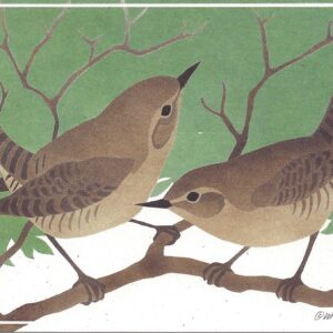 NC172 House Wrens Notecard