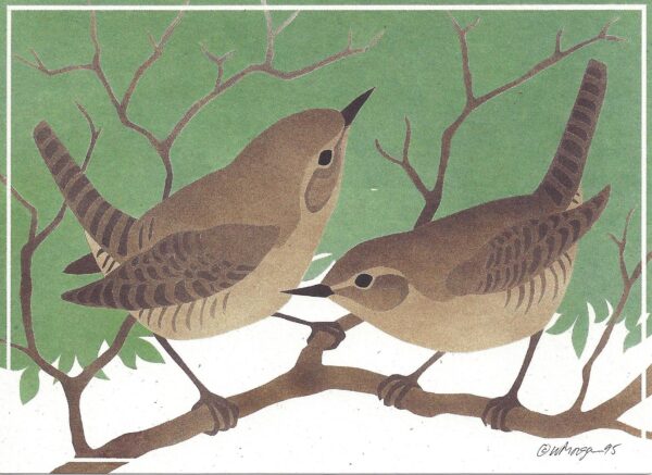 NC172 House Wrens Notecard