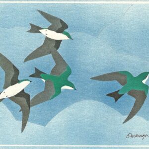 NC173 Tree Swallows Notecard