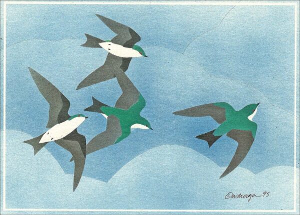 NC173 Tree Swallows Notecard