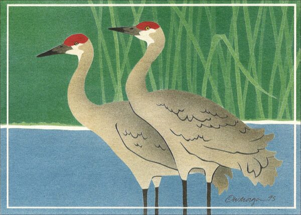 NC175 Two Sandhill Cranes Notecard
