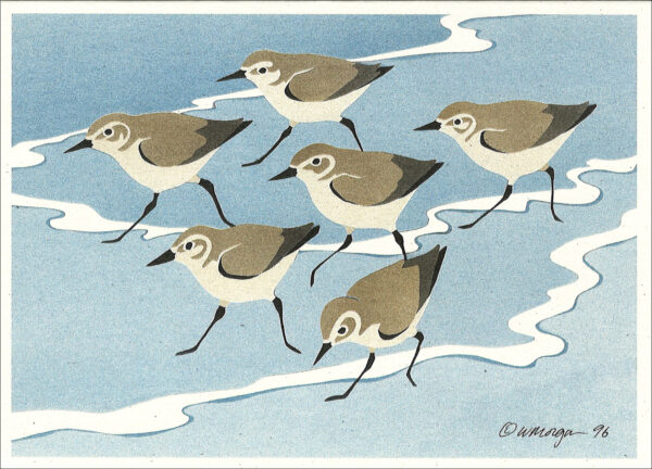 NC176 Sanderlings Notecard