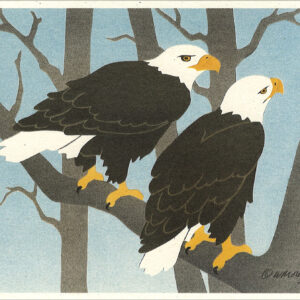 NC177 Bald Eagles Notecard