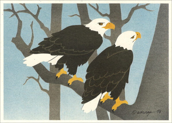 NC177 Bald Eagles Notecard
