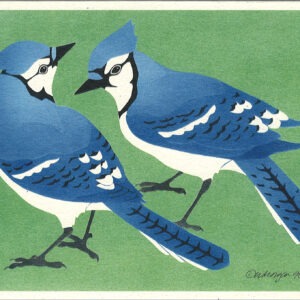 NC179 Blue Jays Notecard
