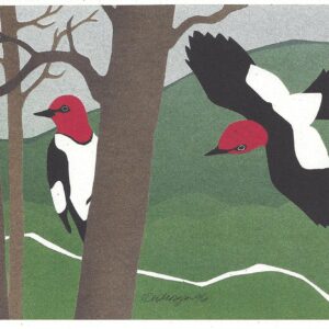 NC180 Red-Headed Woodpeckers Notecard