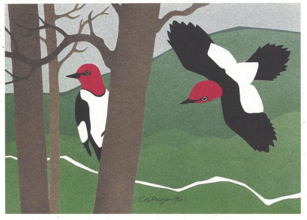NC180 Red-Headed Woodpeckers Notecard