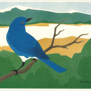 NC182 Mountain Bluebird Notecard